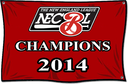 Champions 2014